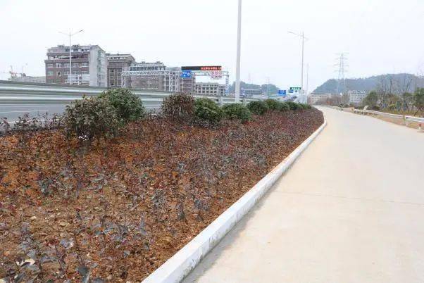 公共设施更完善城市韧性持续加强聚焦承载能力提升,加大公共资源供给