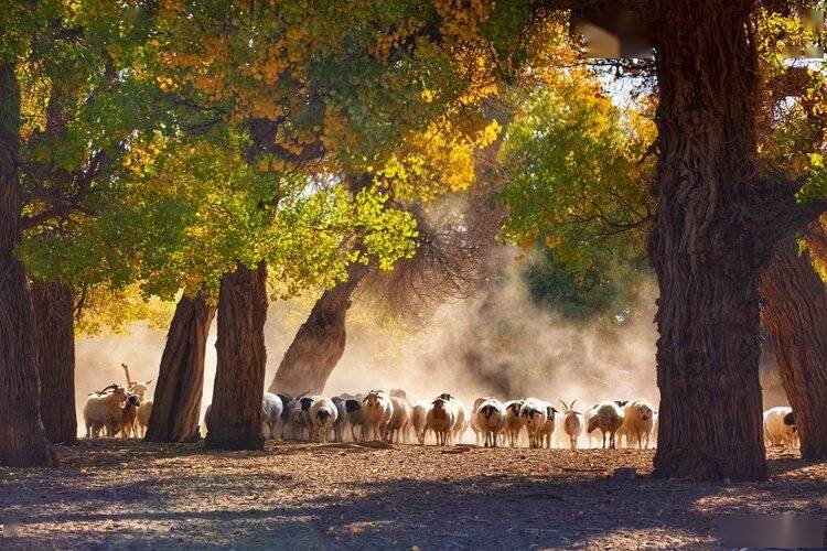 张立新 大连73 【北京民谣】文/原驰 注明出处除外 编辑/原驰图片