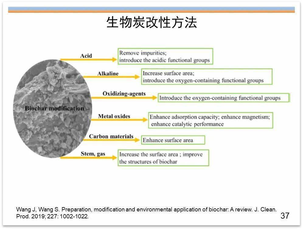 专家视角生物炭及改性生物炭在土壤改良水处理和环境修复中的应用