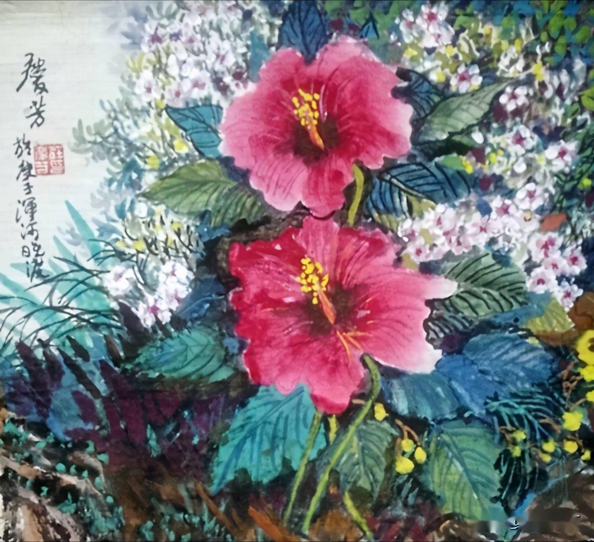 木槿与石竹的陪伴含苞待放的多色鸢尾色不附实的红叶槿争相绽放的