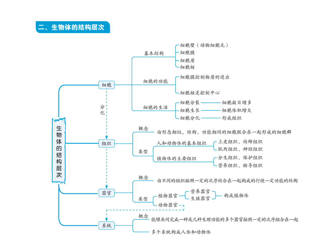 初中生物中考复习知识点思维导图
