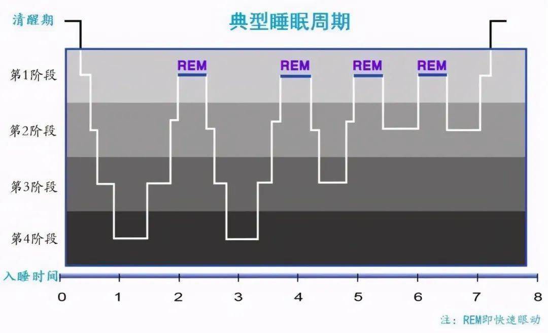 重要的不是睡8小时而是睡够睡眠周期