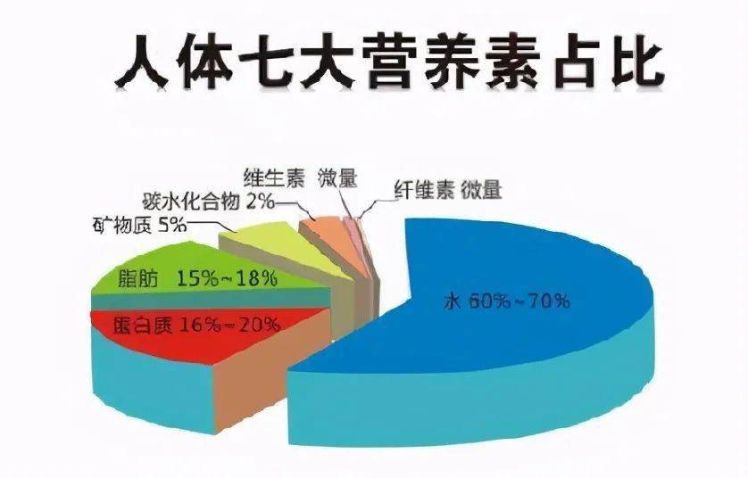 人体7大营养素,每天补充美味,让身体更健康