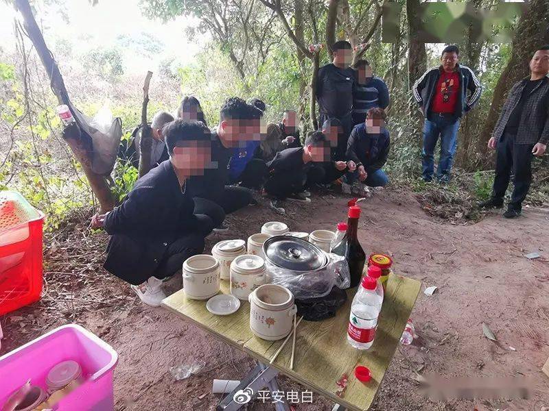 电白一个大型"番摊"赌场被打掉,14人被捕!