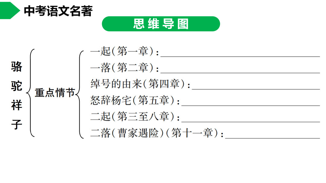 初中语文七下《骆驼祥子》名著导读 思维导图  考点合集,寒假预习必收