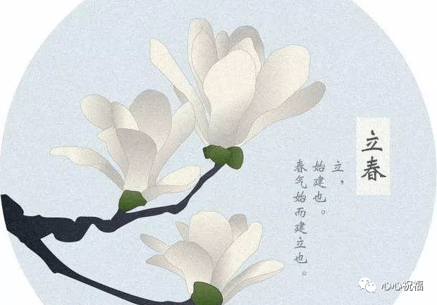 2021年2月3日最新立春祝福语大全,早上好问候语句子!