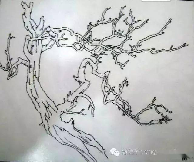 也可先染后勾, 如下图(图三)(图四)中 a 为梨树枝干画法;b 为杨树画法