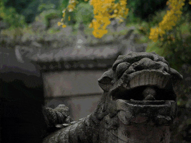 有了这份2021公交地铁指南,昆明各大景点随便玩!