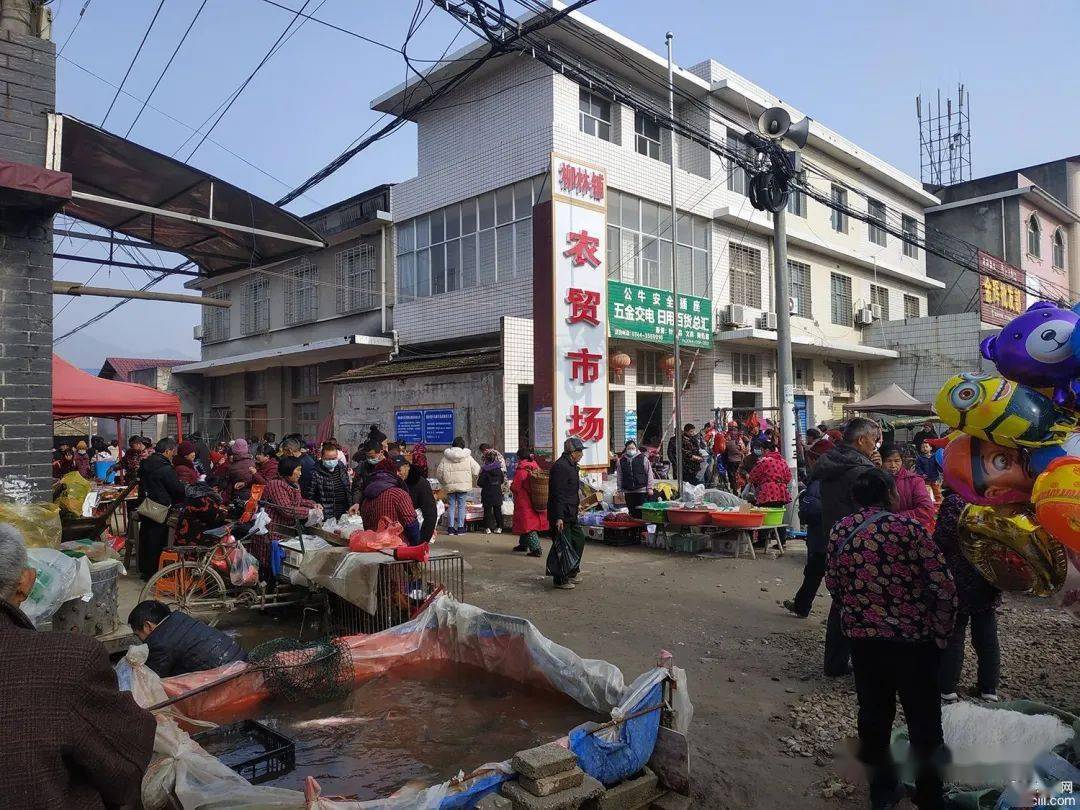 慈利柳林乡镇集市见闻:老太很豪放交通很拥堵市场很和谐