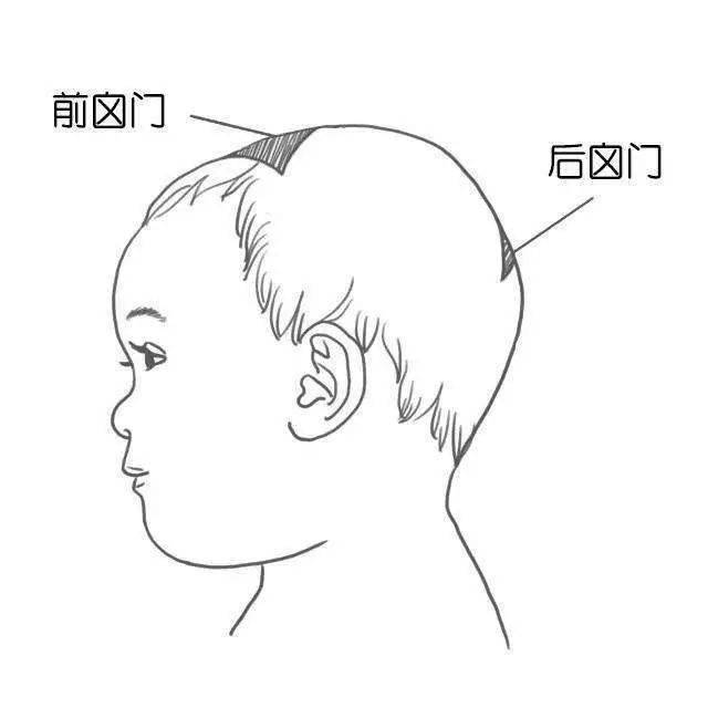 囟门指婴儿出生时头顶有两块没有骨质的"天窗,医学上称为"囟门.