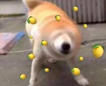 壁纸 动漫 动物 狗 狗狗 卡通 漫画 头像 350_287