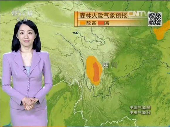 气象一姐杨丹:央视主持25年为何仍是临时工?_手机搜狐网