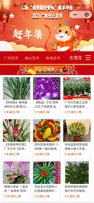 ▽ 海珠区将花农,鲜花生产基地,花卉经销商等春节鲜花供应端,对接