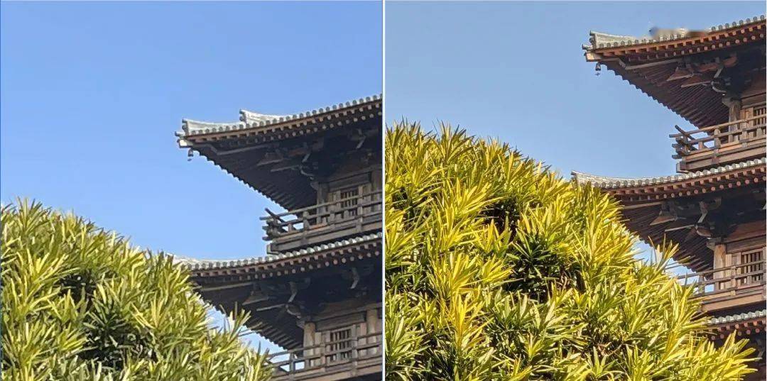 在如下这种背光极限大光比的情况下,两台手机都出现了暗部建筑周围有