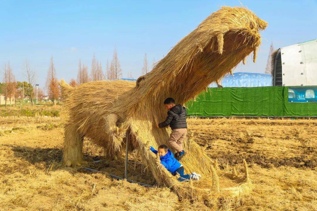 【关注】火箭,白雪公主,长颈鹿……三星新开了个乐园