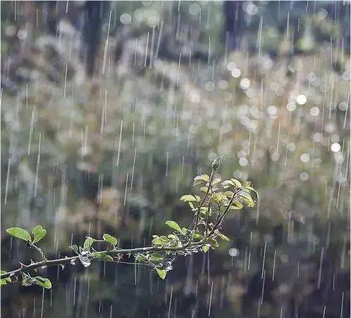 佳作荐读余光中听听那冷雨