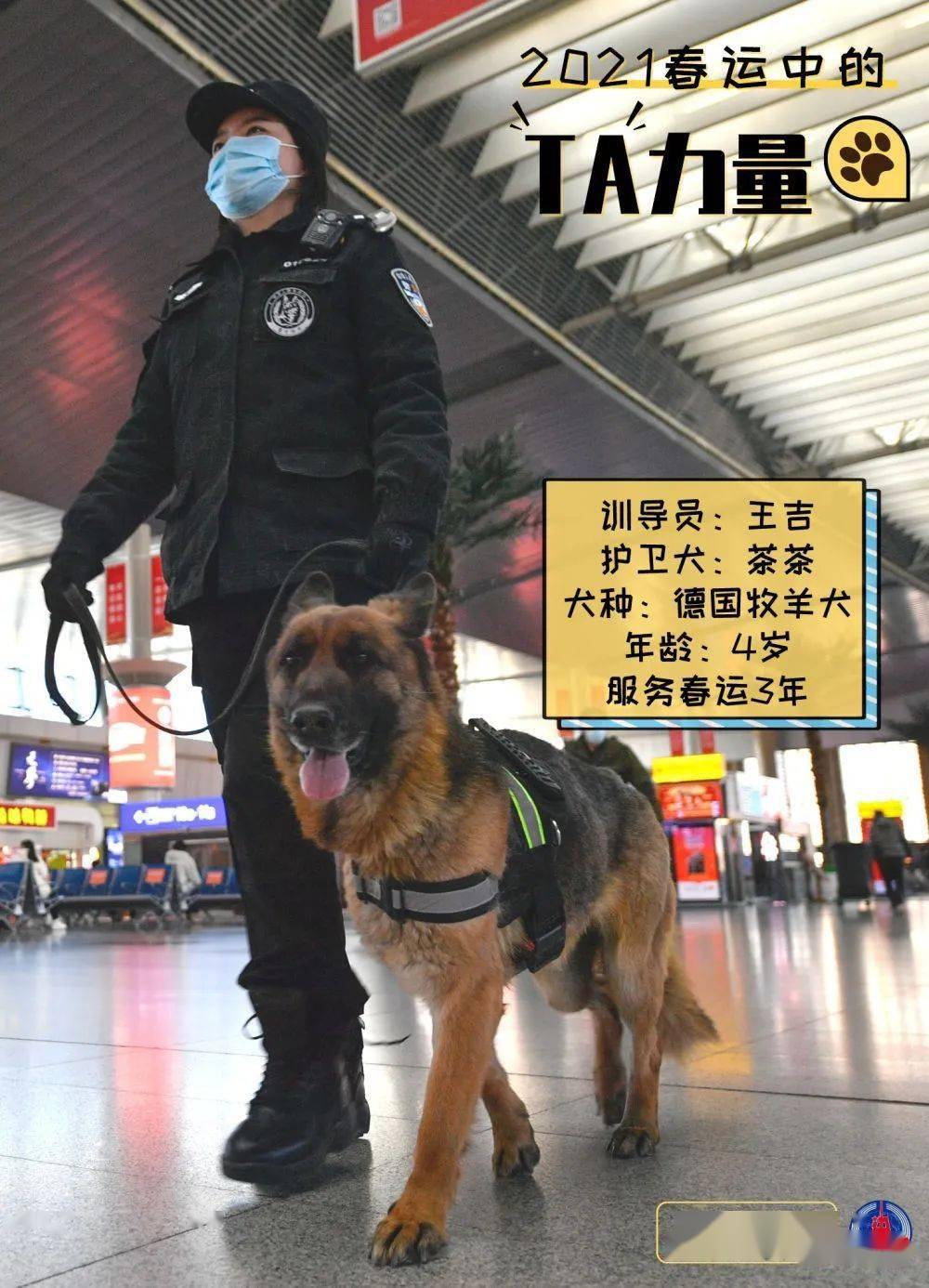 汪汪汪萌犬巡逻队来啦