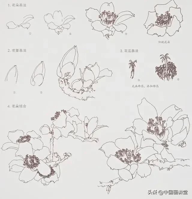 国画教程写意木棉花画法步骤你学会了吗