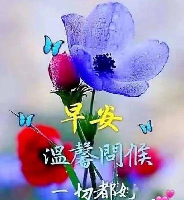 2021早上好图片带祝福语,早上好祝福语图片带字温馨精选