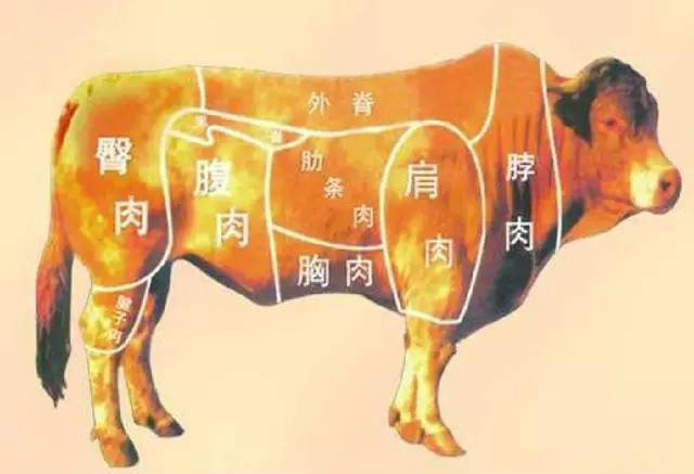 "澳洲牛排" 知识 360度详解,你真的会吃牛排吗?