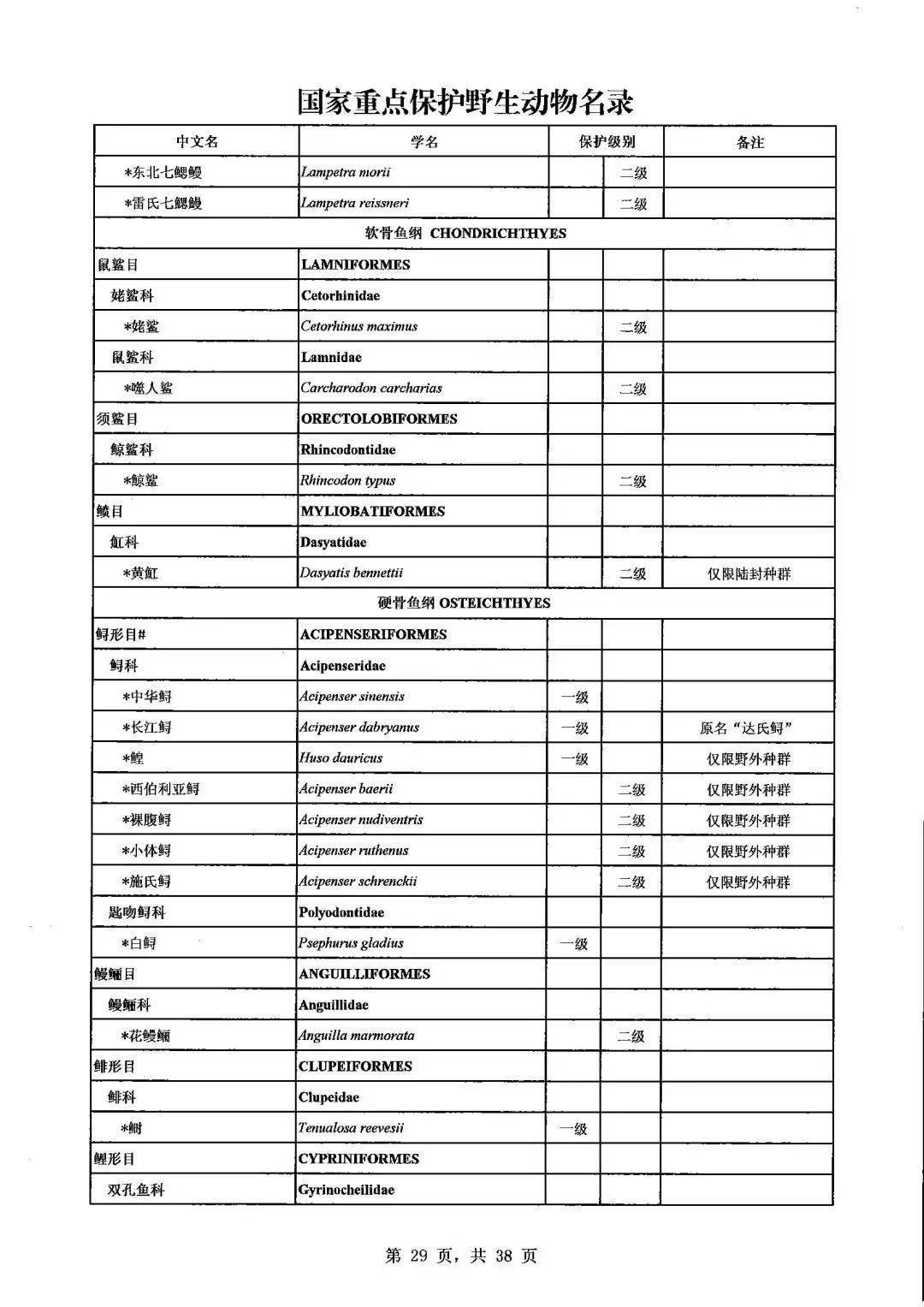 新版国家重点保护野生动物名录公布新增517种类野生动物