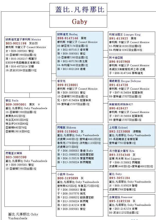 世界铭鸽盖比闪电号前世今生