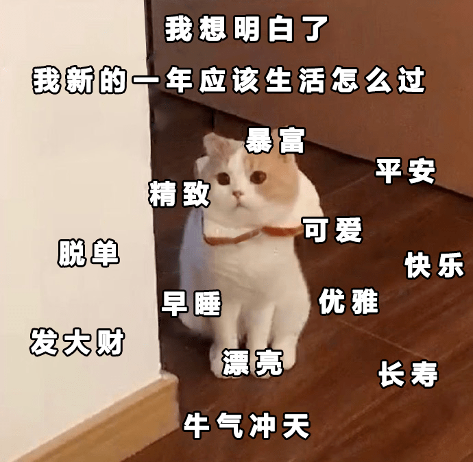 快保存最适合过年搞钱的99个猫表情包