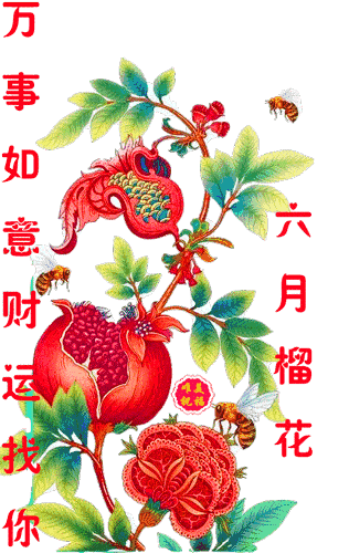 316_500 竖版 竖屏