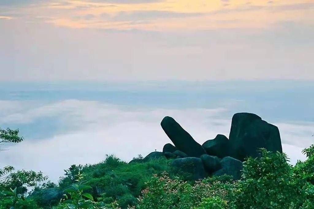 繁华尽处寻一处无人山谷—石祖禅茶园 就地过年就地玩-搜狐大视野