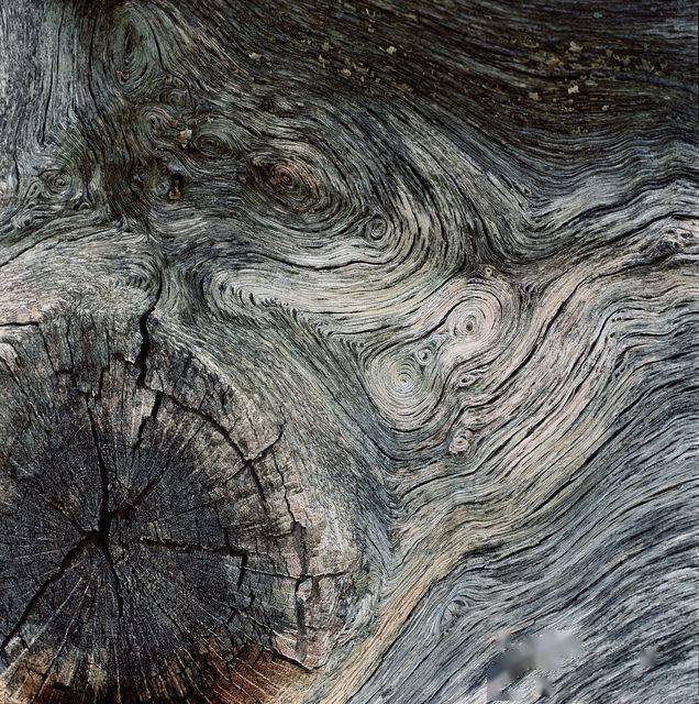 木头的纹理大全表