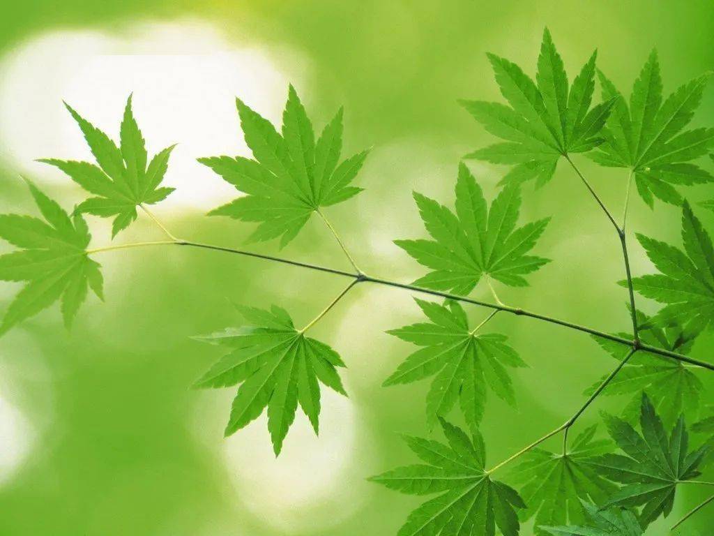 怎么预防近视,七个好习惯帮你搞定!