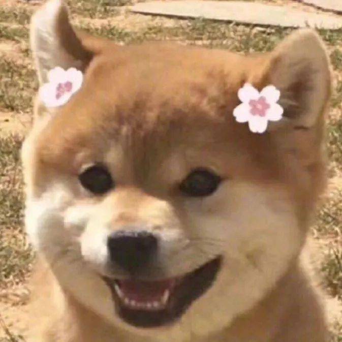 【旺柴】为什么没有一个正经的单身节