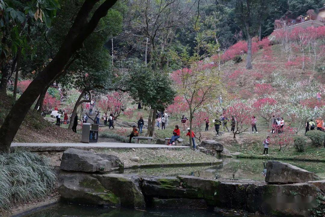 白云山桃花涧一花独放不叫春百花齐放才是春