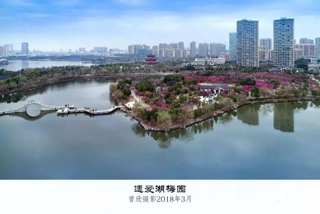 航拍黄州遗爱湖梅园,美呆了!