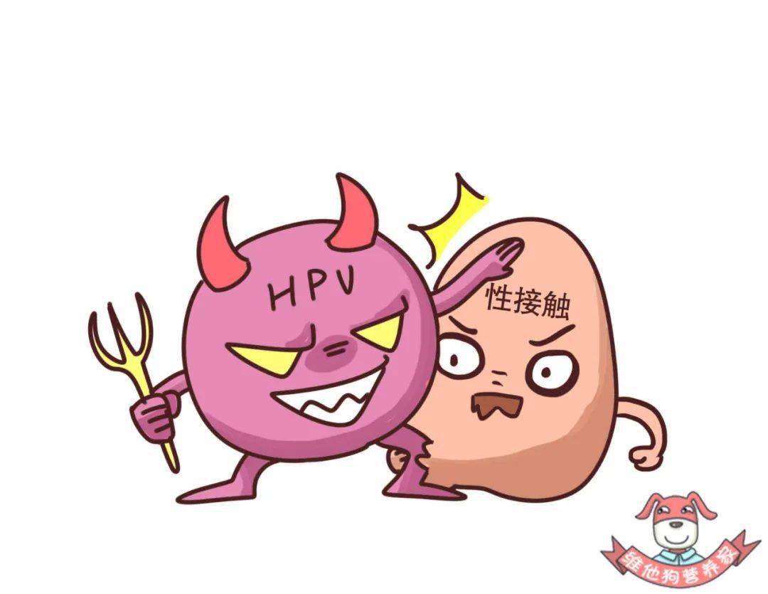 因为hpv病毒感染主要是跟性传播有关.