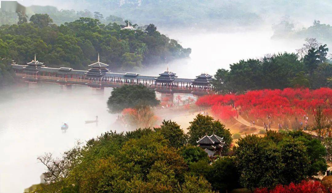 让枝头的洁白笑靥轻抚脸颊 一种心旷神怡掠过心头 3月:柳州市龙潭景区