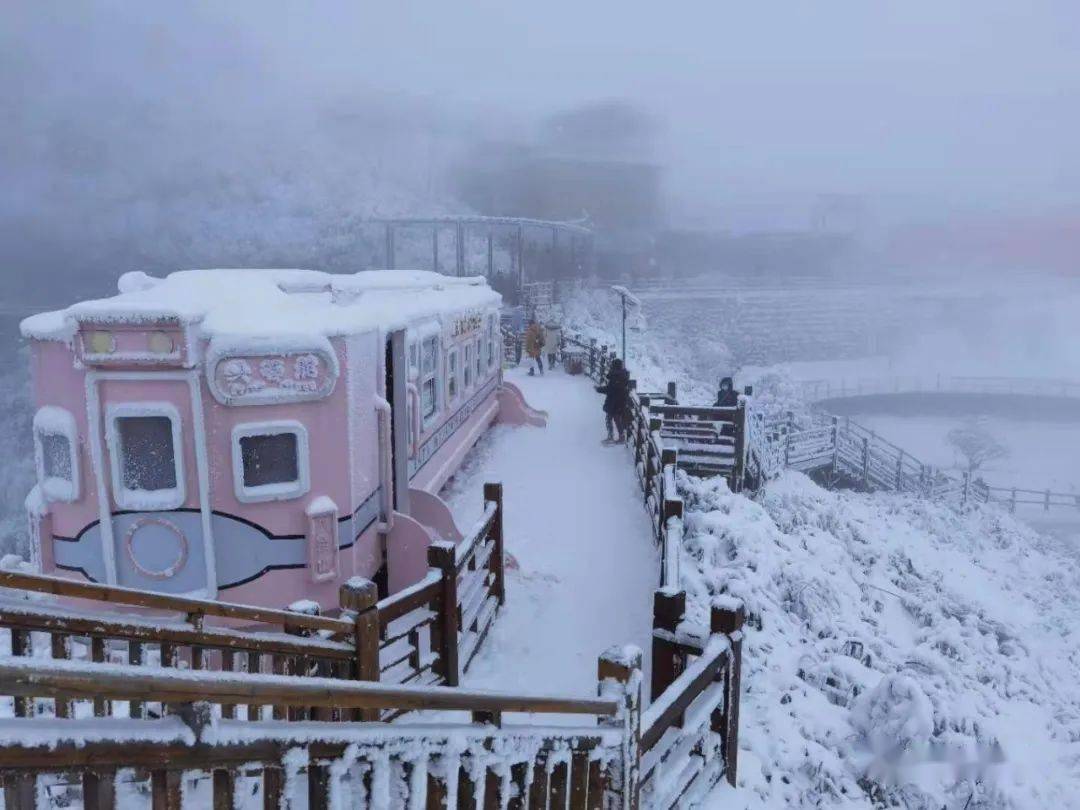 万源八台山过年下雪啦好美