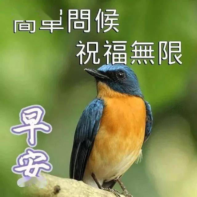 微信问候朋友早上好图片带字,早晨好温馨问候祝福语