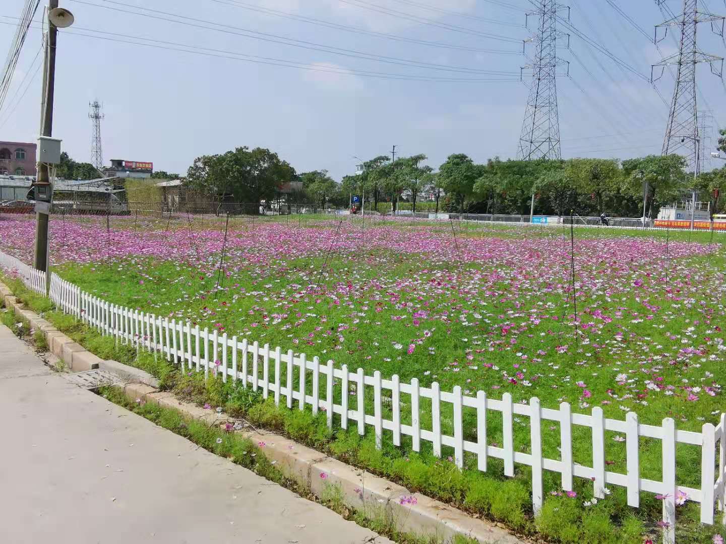 来马克村农业休闲园，“偷得浮生半日闲”