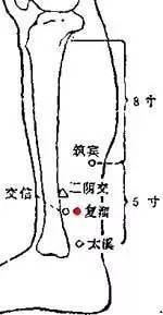 全身最重要的74个穴位讲解附图