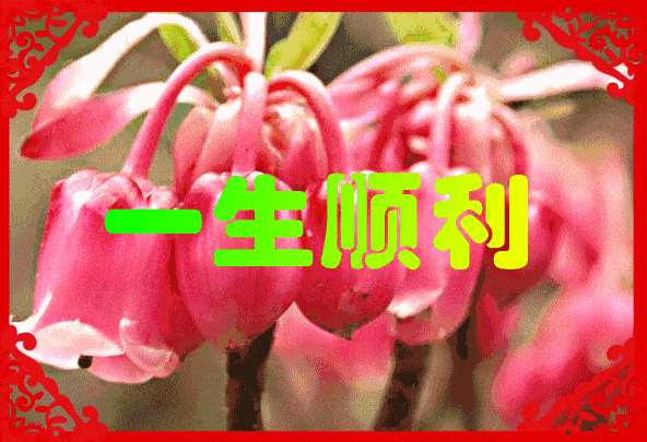 正月初七人生7乐原来是这个意思送给我最爱的你