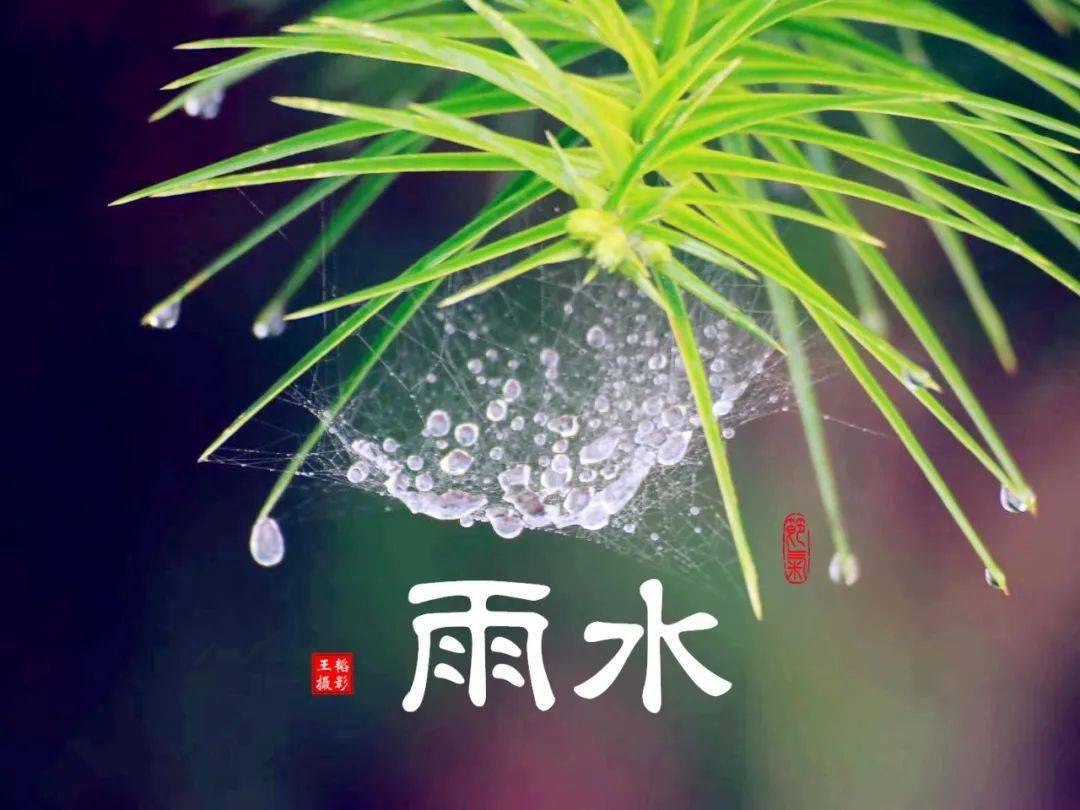 今日雨水 迎一场春雨,等一片花开