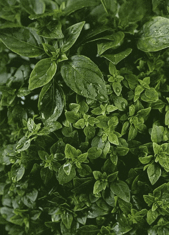 540_750 竖版 竖屏