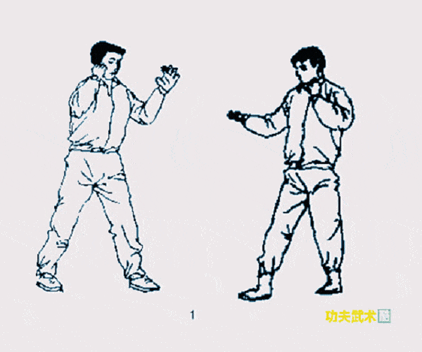 中国传统武术中有很多抓法的技击运用,例如鹰爪拳,少林拳,虎拳,猴拳
