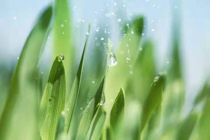 迎来雨水节气