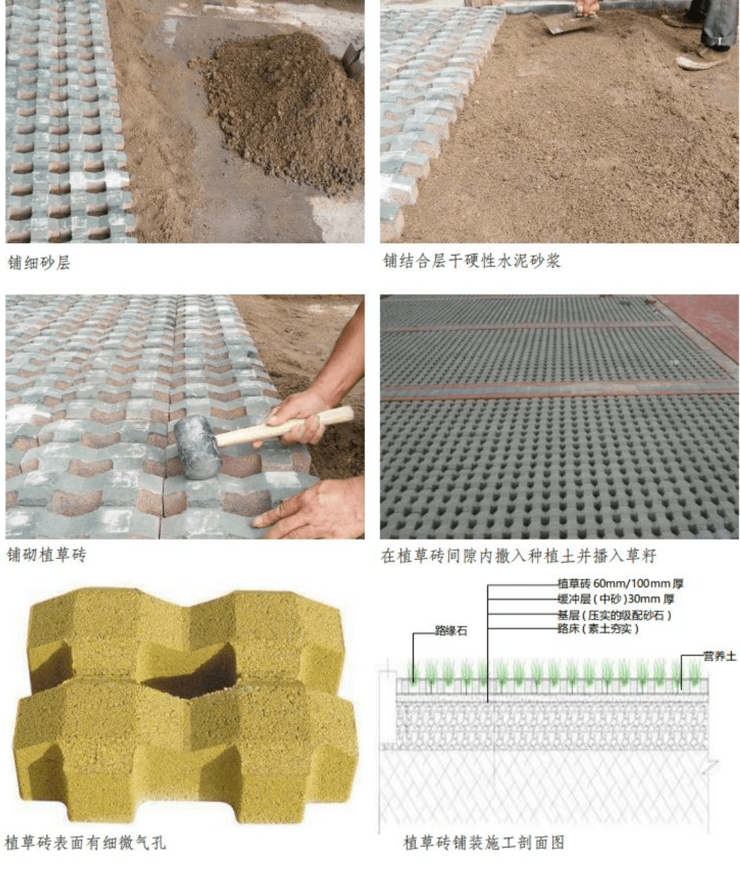 植草砖 | 景观材料之铺地砖