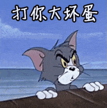 又能更新一大波