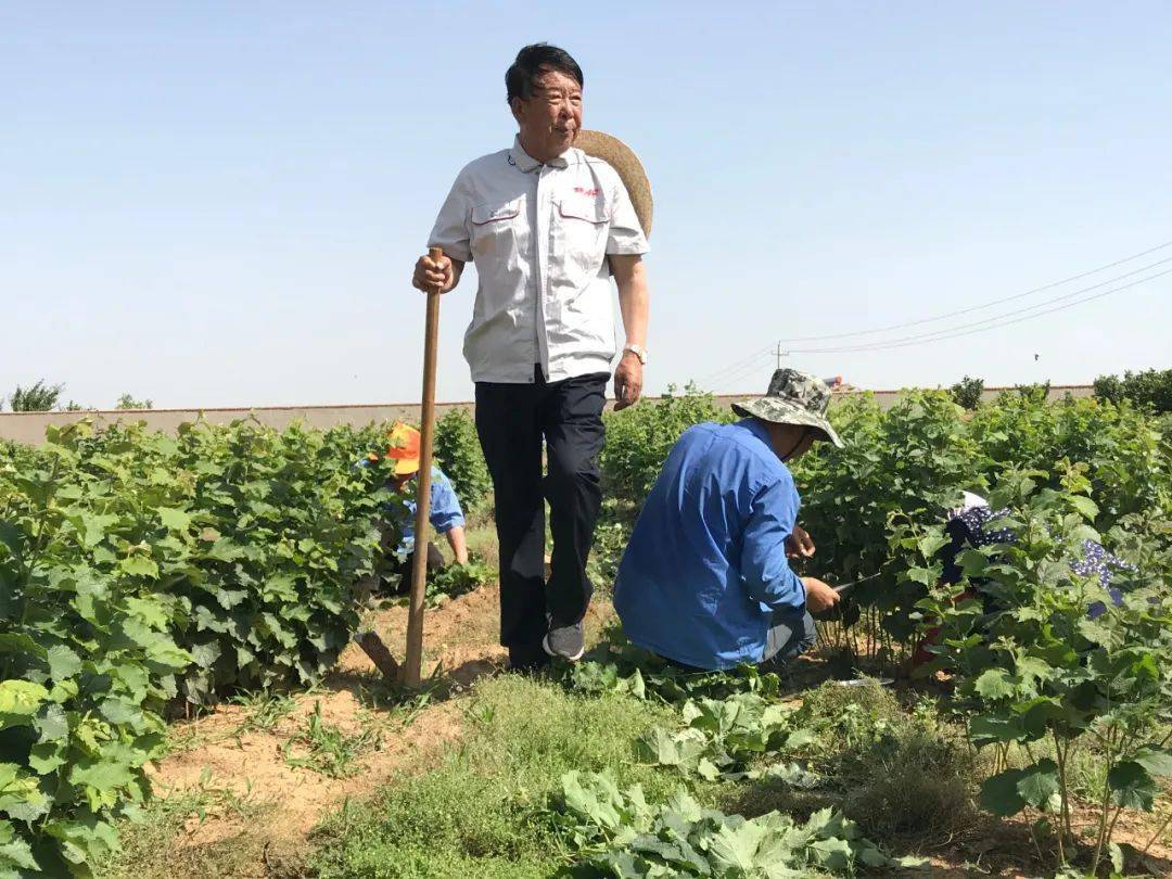 农业企业家丨魏本欣一片榛情在山林