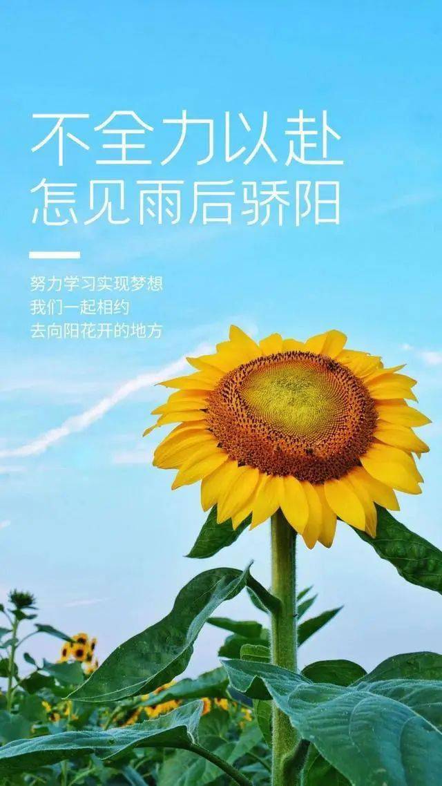 23早安!新的一天,新的开始!