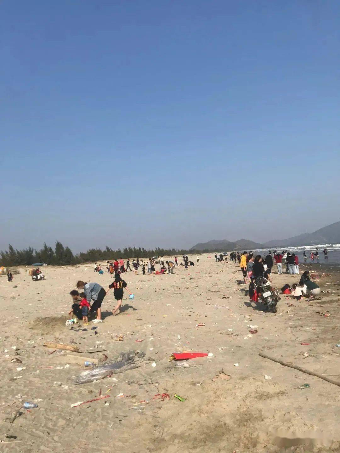 陆丰这片海滩在"流泪"_上海村